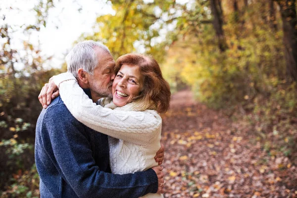 A senior couple hugging in an autumn nature, kissing. Copy space. — Stock Photo, Image