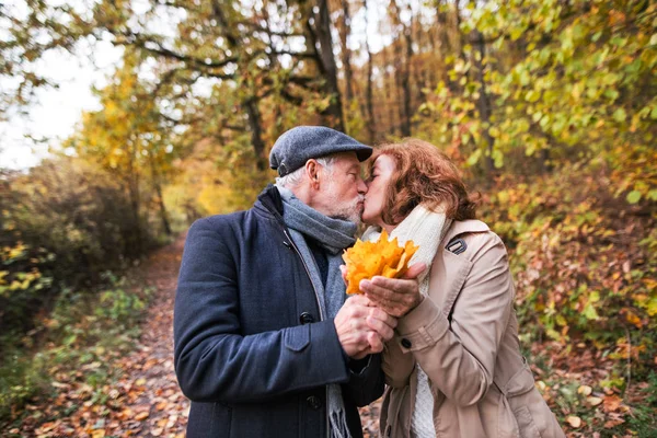 Seniorenpaar bei einem Waldspaziergang in herbstlicher Natur, hält Blätter und küsst. — Stockfoto