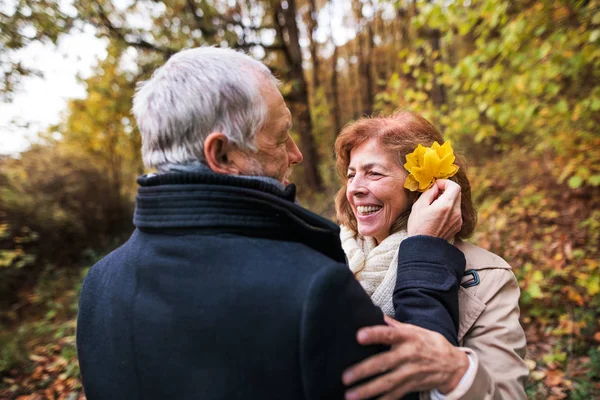 Hombre mayor poniendo hojas amarillas en las mujeres pelo en el bosque en la naturaleza . —  Fotos de Stock