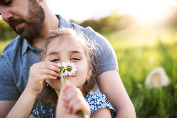 Pai com uma filha pequena se divertindo na natureza primavera . — Fotografia de Stock