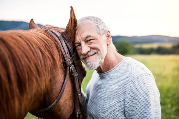 Un uomo anziano in piedi vicino a un cavallo all'aperto nella natura, tenendolo . — Foto Stock