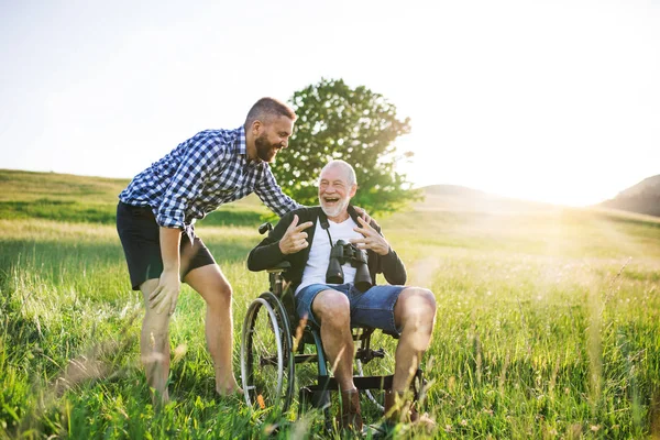 An adult hipster son with senior father in wheelchair on a walk in nature at sunset. — Stock Photo, Image