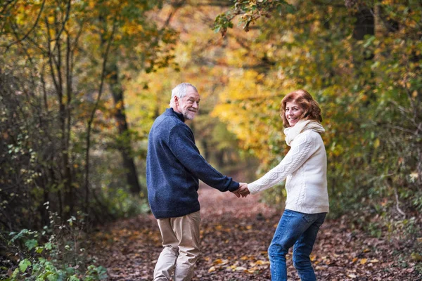 Um casal sênior caminhando em uma natureza de outono de mãos dadas e olhando para trás . — Fotografia de Stock