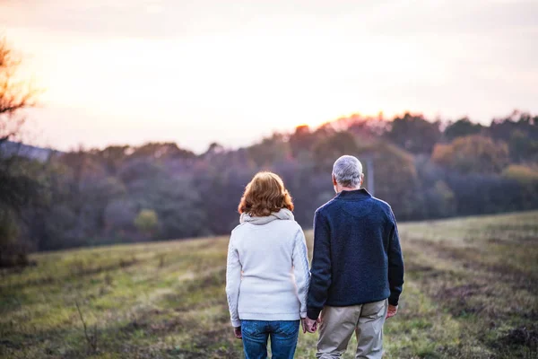 Coppia anziana che cammina in una natura autunnale, tenendosi per mano . — Foto Stock