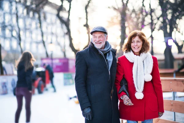 Casal sênior em um passeio em uma cidade no inverno . — Fotografia de Stock