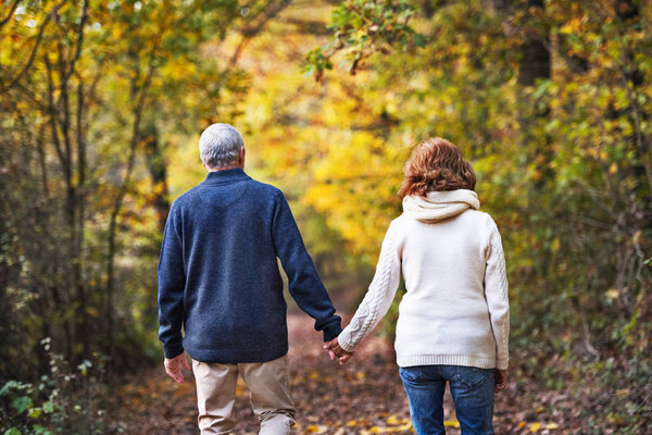A rear view of a senior couple walking in an autumn nature.