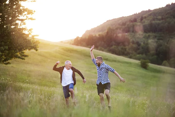 Een volwassen hipster zoon en vader senior springen in de natuur bij zonsondergang. — Stockfoto