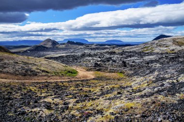 Yaz aylarında güzel bir İzlanda kayalık manzara.