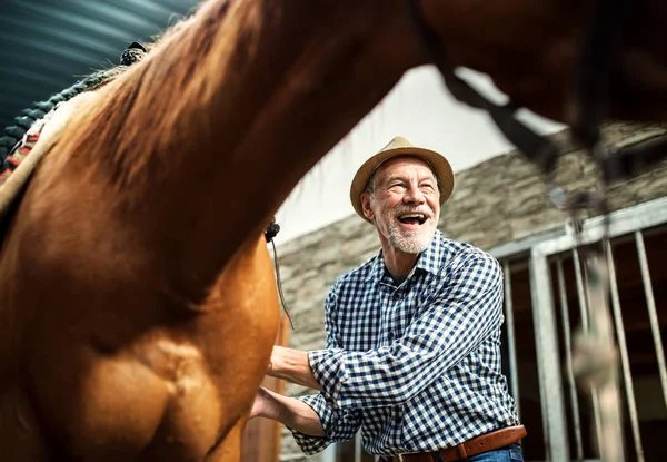 Un hombre mayor poniendo una silla de montar en un caballo en un establo . —  Fotos de Stock