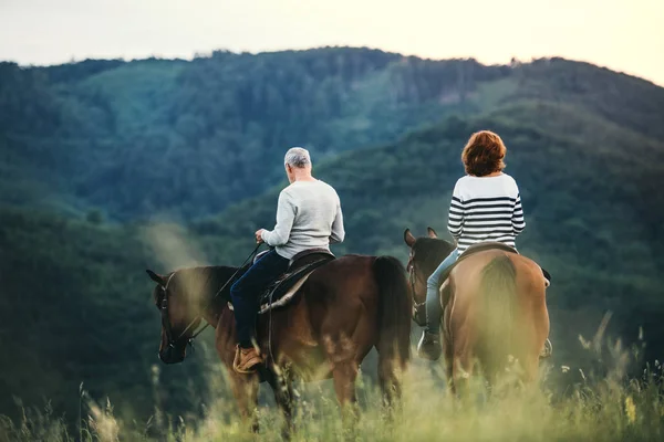 Een achteraanzicht van senior paar berijden van paarden in de natuur. — Stockfoto