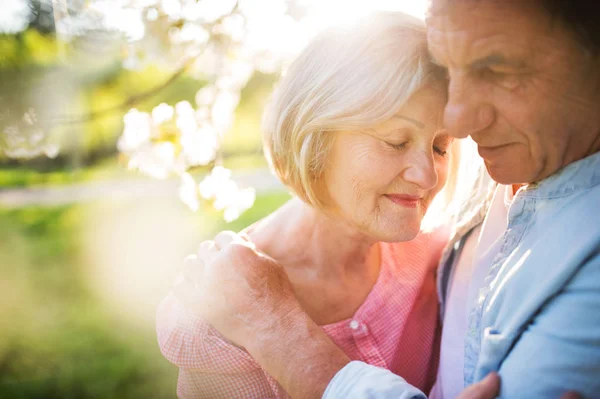 Beautiful senior couple in love outside in spring nature. — Stock Photo, Image