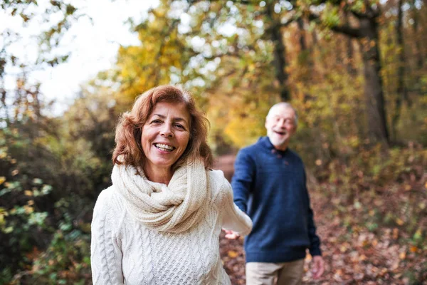 Um retrato de um casal sênior andando em uma natureza de outono . — Fotografia de Stock