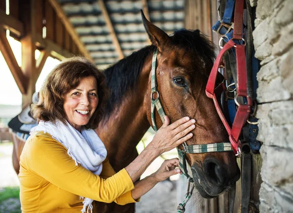 Una mujer mayor con un caballo parado junto a un establo . — Foto de Stock