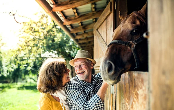 A senior couple with a horse standing in front of a stable. — Stock Photo, Image