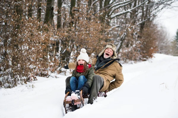 Дід і маленька дівчинка катаються на зимовий день . — стокове фото