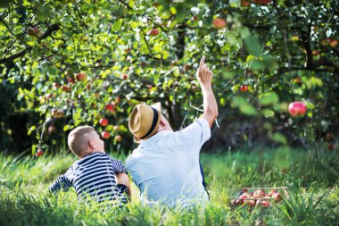 Dikiz orchard çim üzerinde oturan torunu ile üst düzey Büyükbaba.