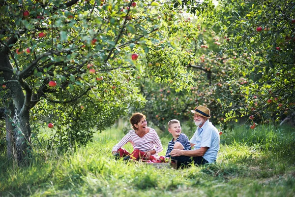 Ein älteres Ehepaar mit kleinem Enkel sitzt auf Gras im Apfelgarten. — Stockfoto