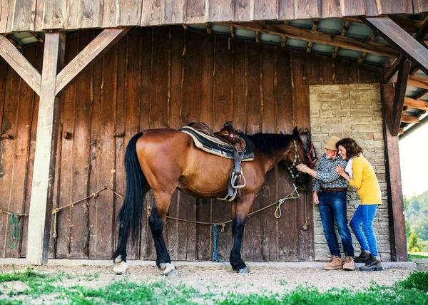 Una coppia anziana con un cavallo in piedi davanti ad una stalla . — Foto Stock