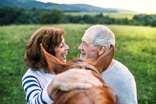 Um casal idoso louco em pé junto a um cavalo lá fora na natureza, olhando um para o outro . — Fotografia de Stock