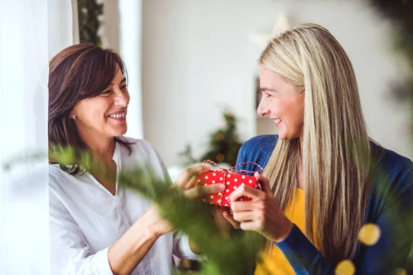 Eine Seniorin schenkt einer erwachsenen Tochter zu Weihnachten zu Hause ein Geschenk. — Stockfoto