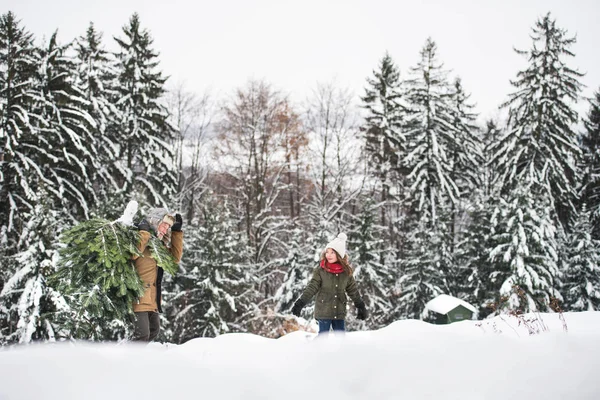 Abuelo y niña pequeña consiguiendo un árbol de Navidad en el bosque . — Foto de Stock