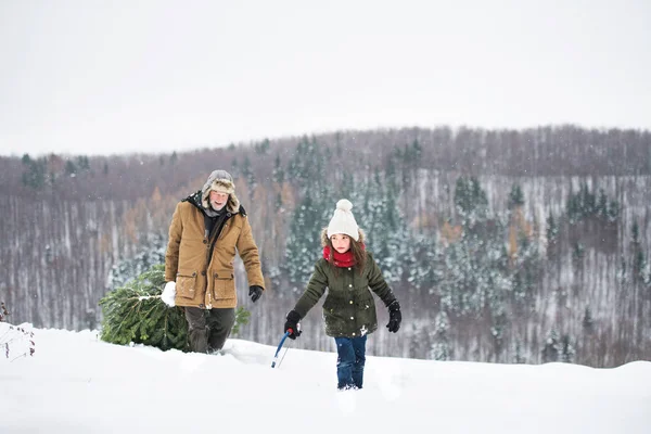 Farfar och liten flicka blir en julgran i skogen. — Stockfoto