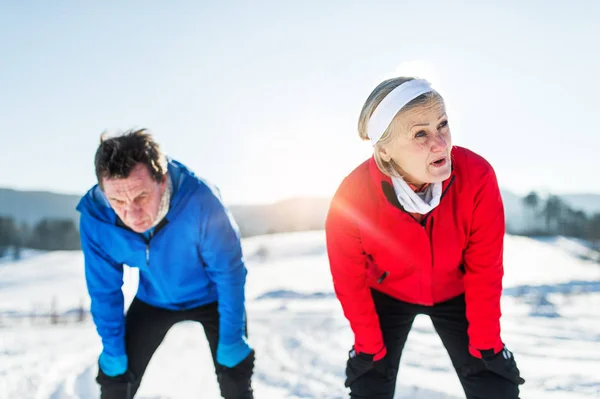 Äldre par löpare står i vinter natur, vila. — Stockfoto