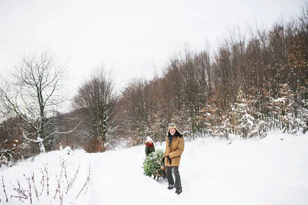 Bedstefar og lille pige får et juletræ i skoven . - Stock-foto