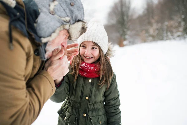 Avô e menina pequena na neve em um dia de inverno . — Fotografia de Stock