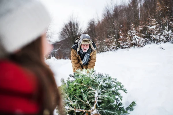 Farfar och liten flicka blir en julgran i skogen. — Stockfoto