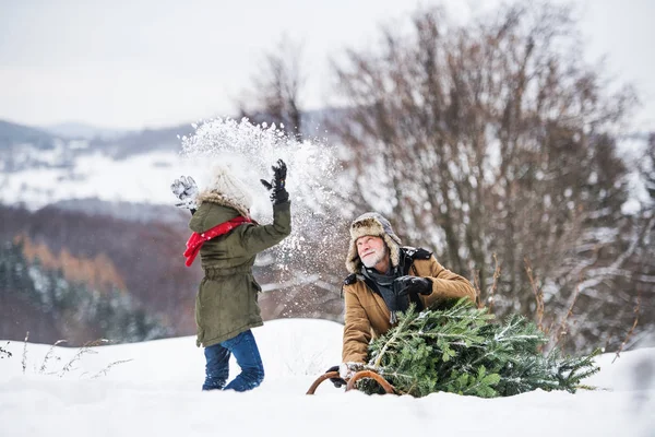 Grandfather and small girl getting a Christmas tree in forest, having fun. — Stock Photo, Image
