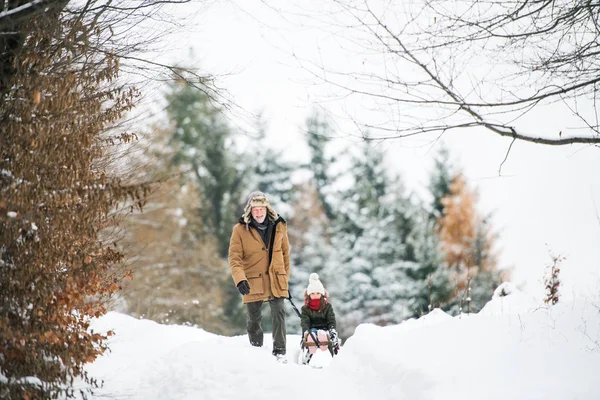 Farfar och liten flicka pulka en vinterdag. — Stockfoto