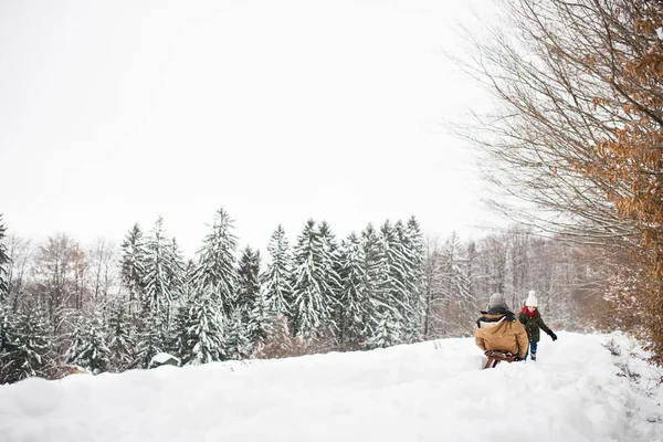 Abuelo y niña pequeña trineo en un día de invierno . — Foto de Stock