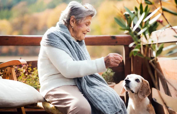 An elderly woman with a dog sitting outdoors on a terrace on a sunny day in autumn. — Stock Photo, Image