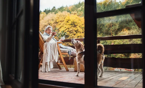 Μια ηλικιωμένη γυναίκα με έναs σκύλοs κάθονται σε εξωτερικούς χώρους σε μια βεράντα σε μια ηλιόλουστη μέρα το φθινόπωρο. — Φωτογραφία Αρχείου