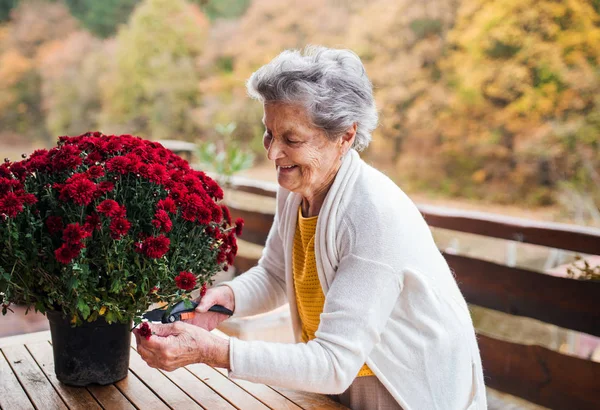 Eine ältere Frau an einem sonnigen Herbsttag im Freien auf einer Terrasse. — Stockfoto