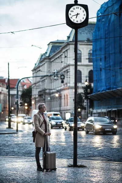 Mogen affärsman med resväska stående av en väg i staden tidigt på morgonen. — Stockfoto