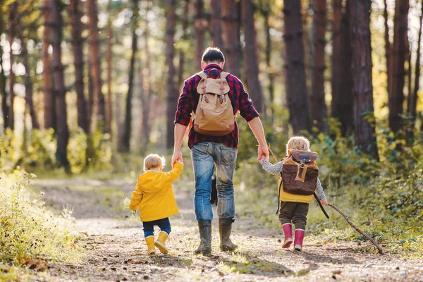 Una vista trasera del padre con niños pequeños caminando en un bosque de otoño . — Foto de Stock