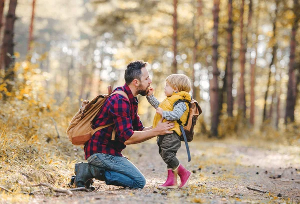 Un niño pequeño dando una manzana a su padre en un bosque de otoño . —  Fotos de Stock