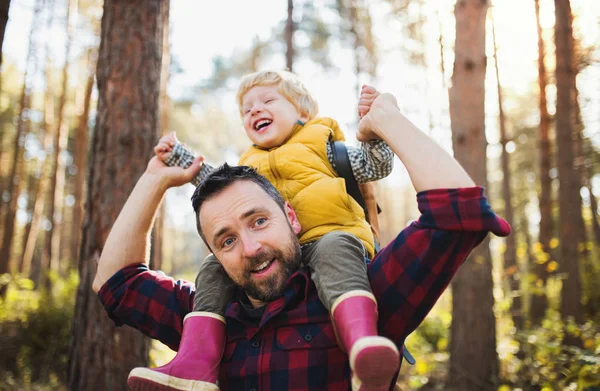 Ein reifer Vater gibt einem kleinen Sohn eine Huckepackfahrt in einem herbstlichen Wald. — Stockfoto