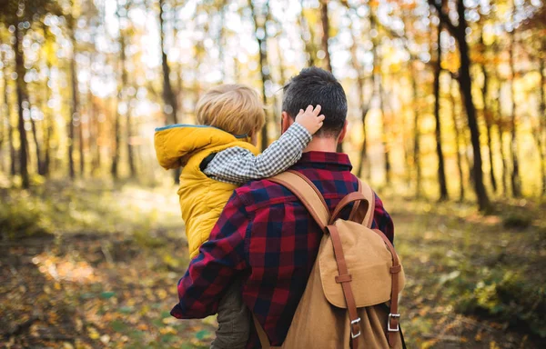 Zadní pohled na starší otec drží syn batole v podzimním lese. — Stock fotografie