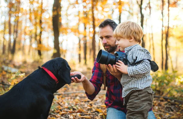 Starší otec se psem a syn batole v podzimním lese. — Stock fotografie