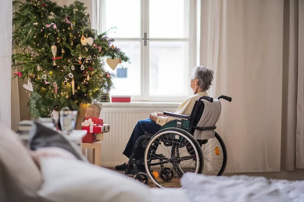 Blick von hinten auf eine Seniorin im Rollstuhl zu Weihnachten. — Stockfoto