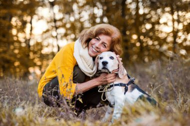 Bir sonbahar doğa günbatımı adlı bir köpek ile kadın kıdemli.