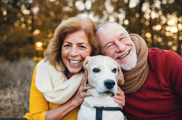 Un couple de personnes âgées avec un chien dans une nature d'automne au coucher du soleil . — Photo