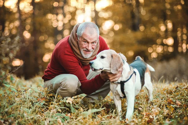 Ein älterer Mann mit Hund in herbstlicher Natur bei Sonnenuntergang. — Stockfoto