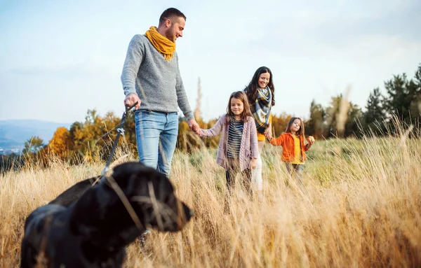 A young family with two small children and a dog on a walk in autumn nature. — Stock Photo, Image