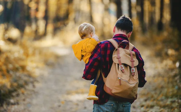 Вид сзади на отца, держащего маленькую дочь в осеннем лесу, гуляющего . — стоковое фото