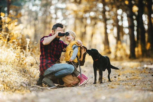 Un padre maduro con un perro y un hijo pequeño en un bosque otoñal, usando prismáticos . — Foto de Stock