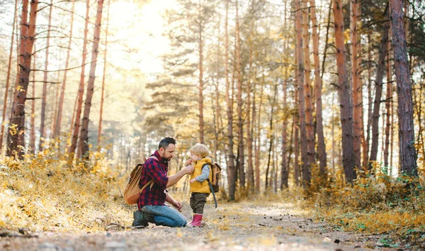 Sonbahar ormanındaki bir sırt çantası ve yürümeye başlayan çocuk oğlu ile olgun bir baba. — Stok fotoğraf